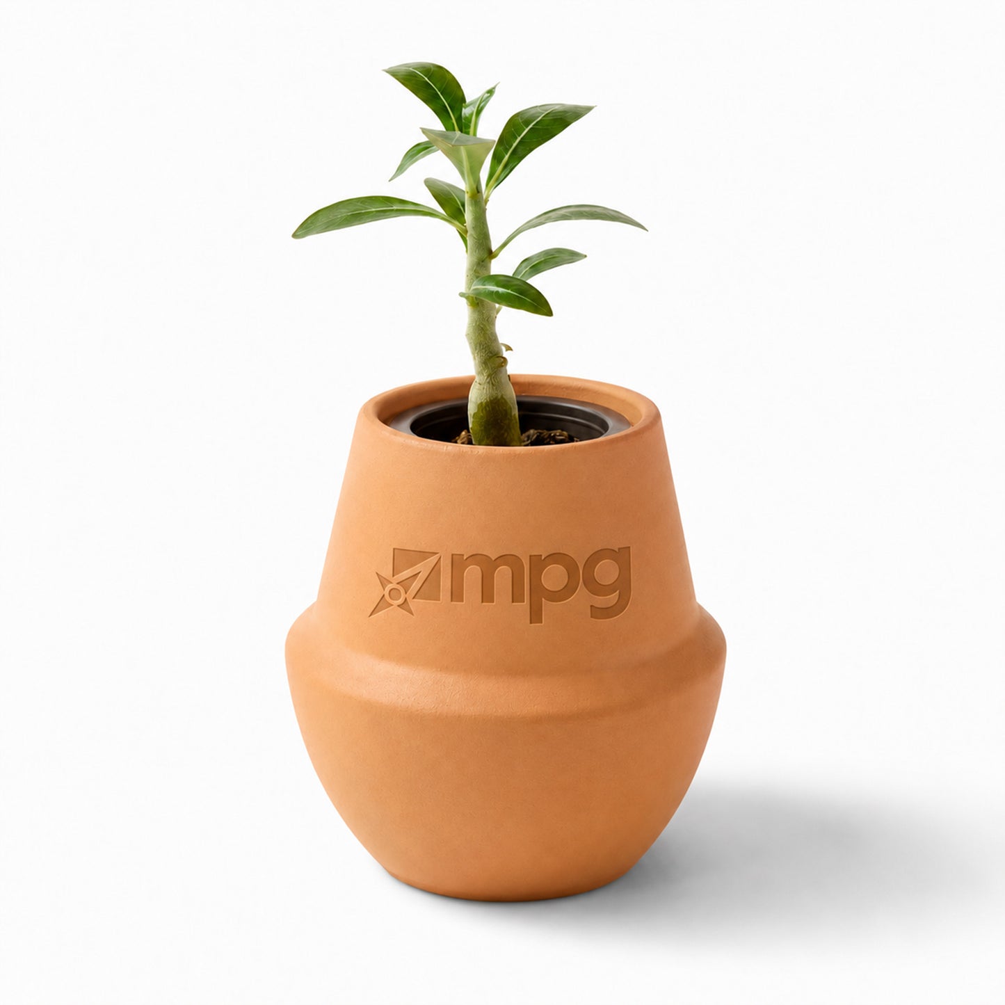 MPG Modern Sprout Terracotta Grow Kit