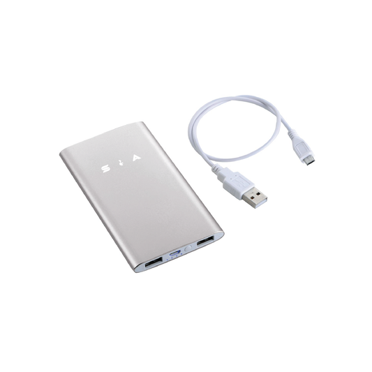 Sleek Aluminum 4000 mAh Power Bank