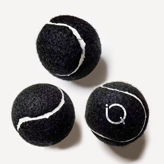 outboundIQ Fido's Ball